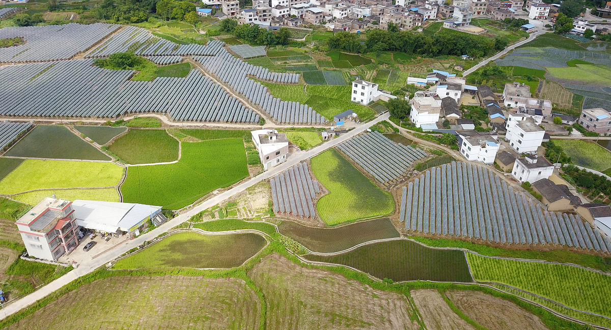 2023乡村振兴调研报告：现状、问题及发展方向