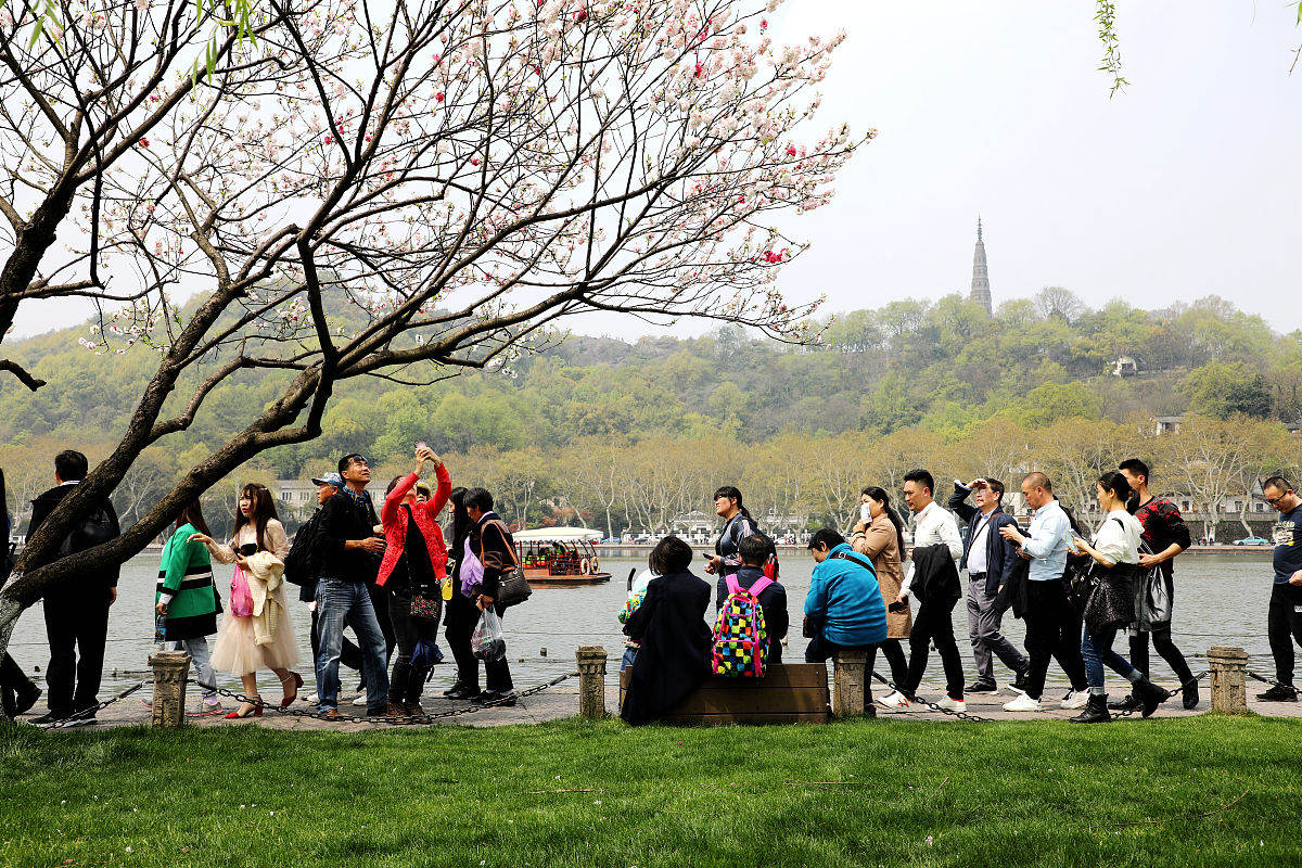 西湖边最美人墙。请结合这个 写短评路