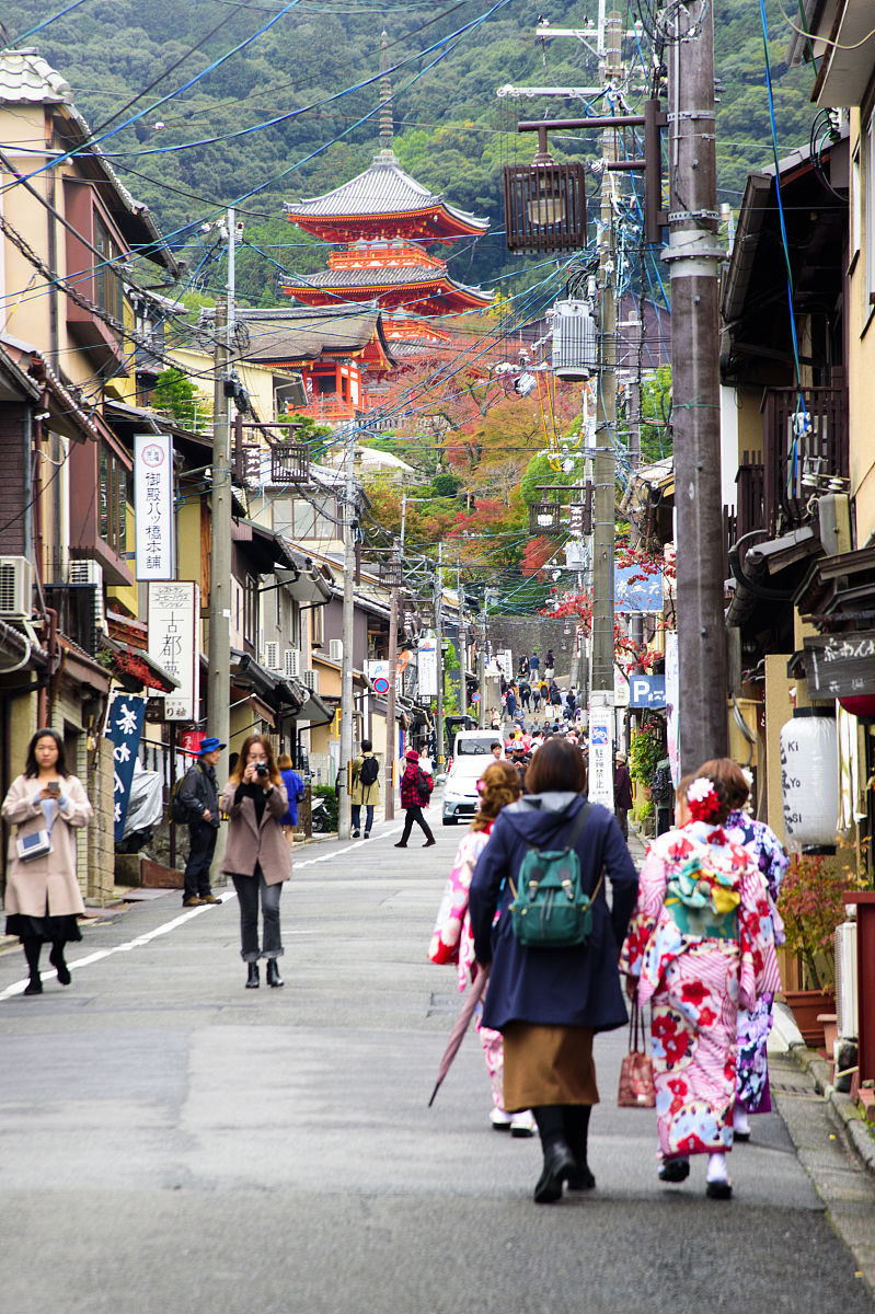 200字日本旅行记：东京、京都、箱根的奇妙旅程