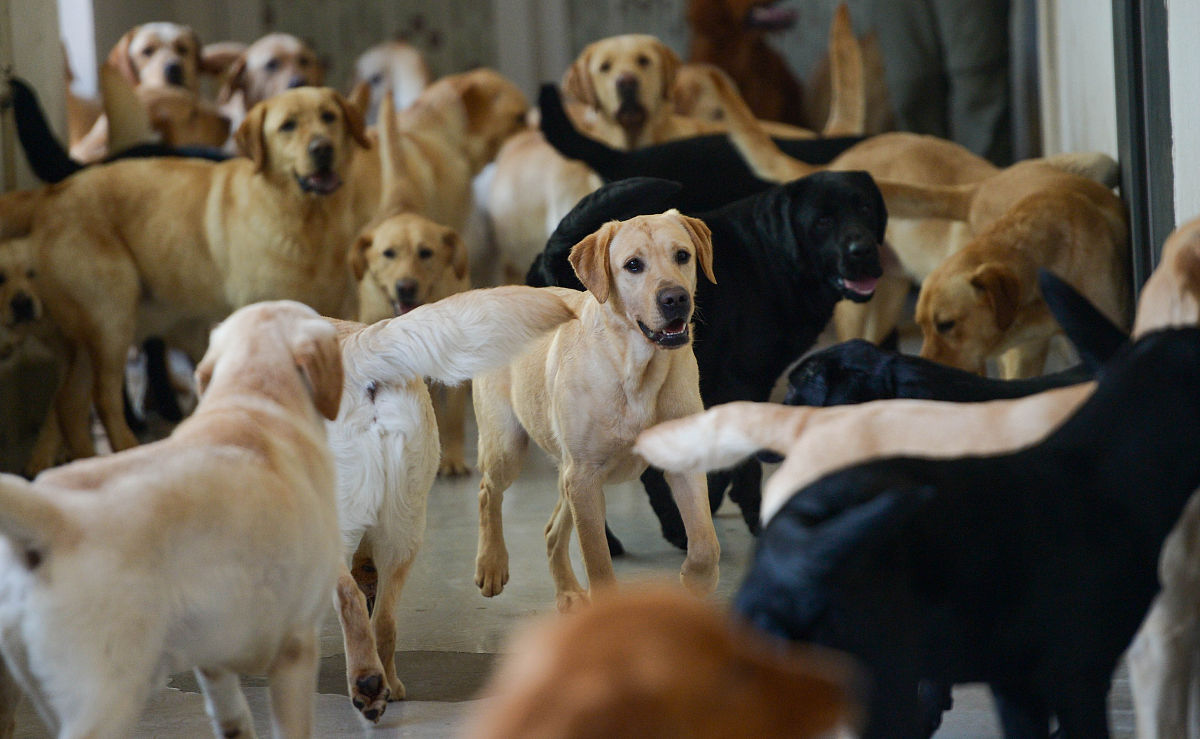 大连医科大学有哪些专业及什么专业好
