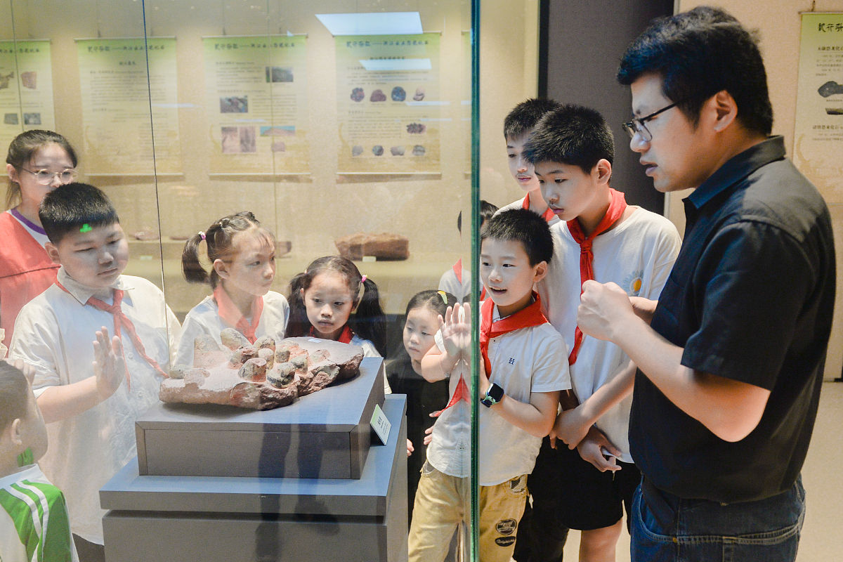 《谁来养活中国》: 莱斯特·布朗探析中国农村现状