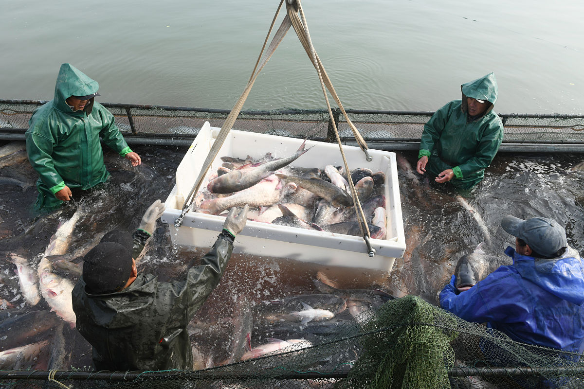 阜阳卫生学校2023年新增专业解读：儿科、麻醉等热门方向