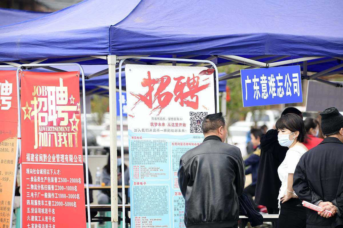 就业指导老师教学建议：提升实践与案例教学效果