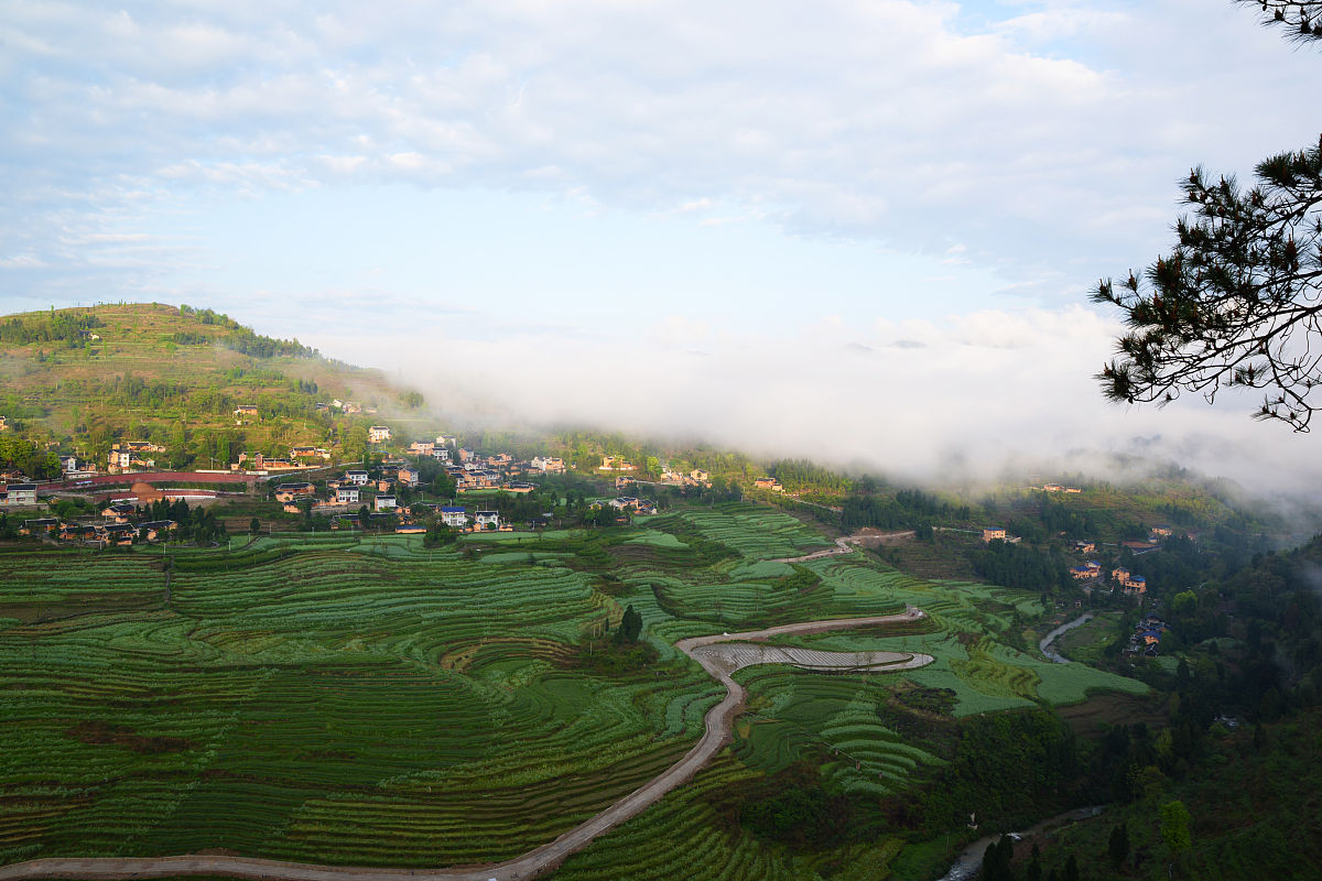 贵州哪所卫生学校的药剂专业教学质量好