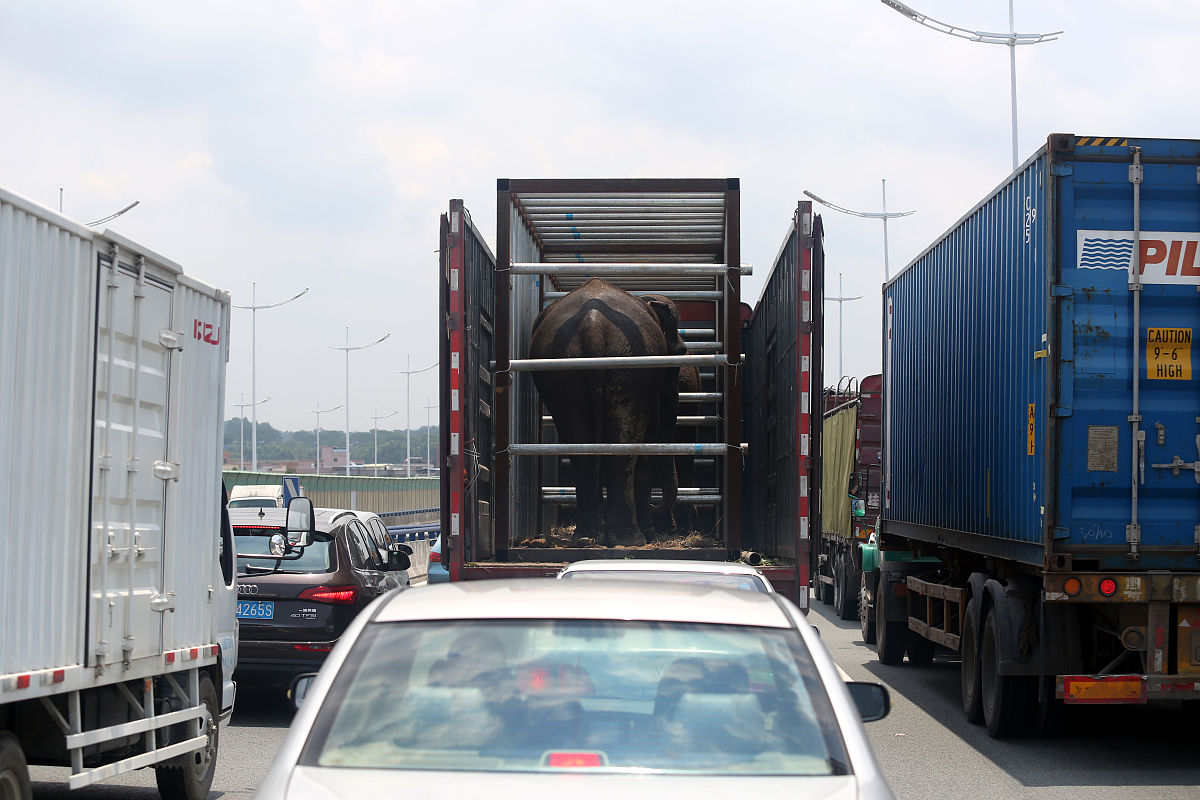 全国有多少个汪雨琦
