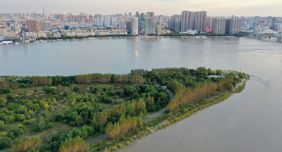 辽宁林业职业技术学院的林业技术专业就业方向好吗