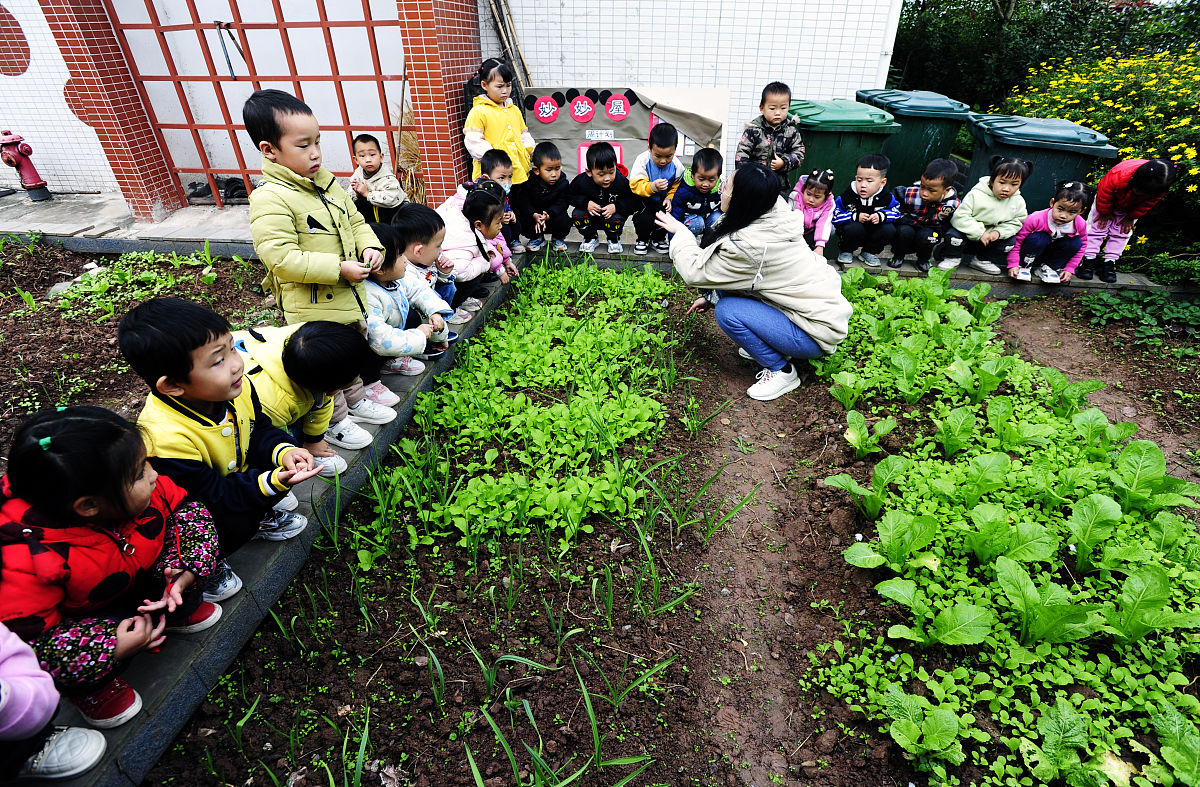 重庆幼师学校包就业吗