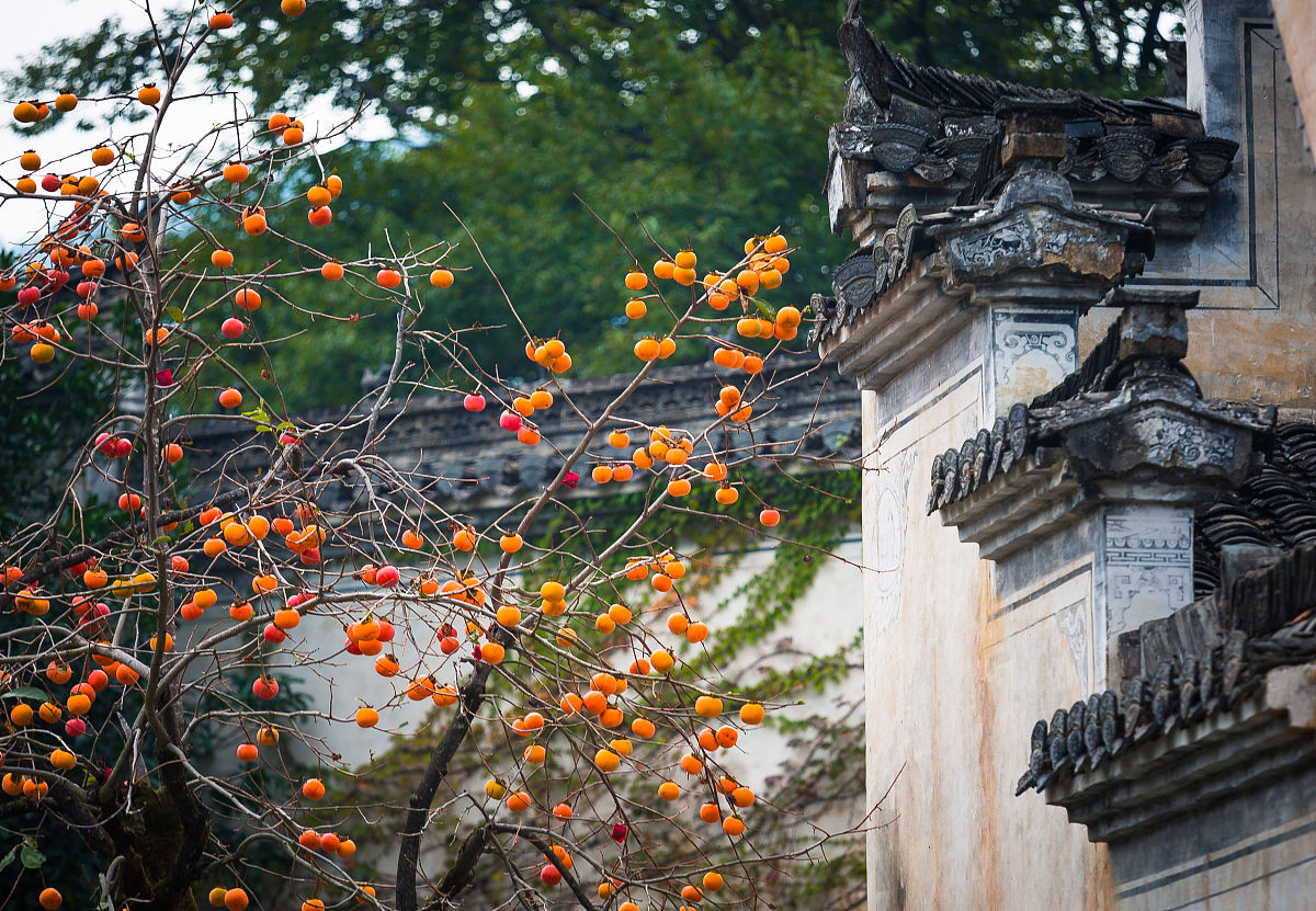 上饶建筑工程技术学校2023年招生简章-好不好