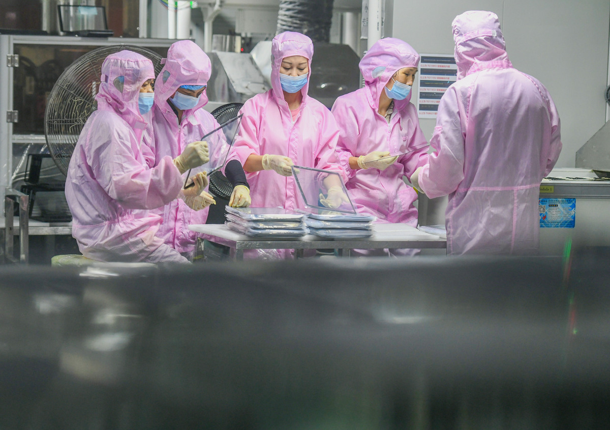 2023食品科学与工程专业就业前景解读：机遇与挑战