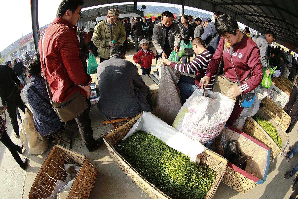 由于茶叶市场行情持续低迷商户面临着一系列竞争态势的压力经营难度不断加大同时还要面对行业内的价格战、产品同质化、市场份额争夺等竞争。由于经营亏损个别商户出现信用风险开始拖欠租金、失联等情况发生；有部分商户倾向于考虑迁移到租金较低的地方经营以求降低成本和保证生存发展。换个说法并附上解决措施