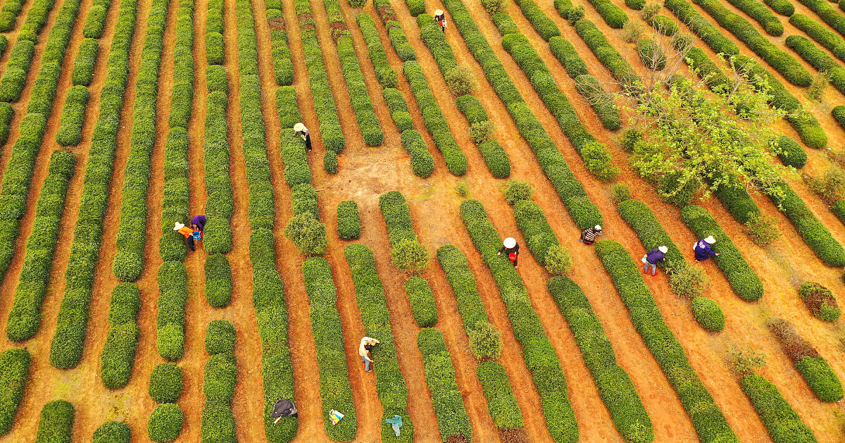 赣州少年农场项目运营授权申请