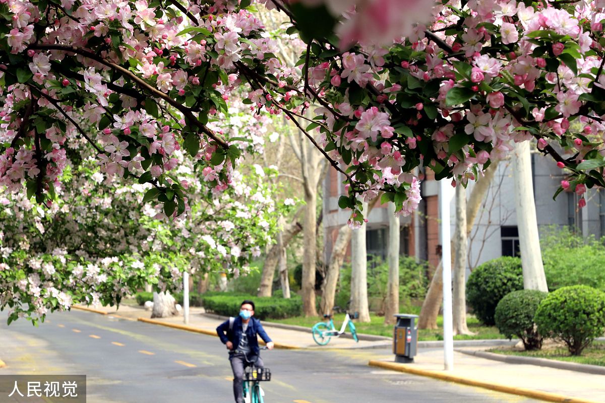 公司总经理读《沉思录》感悟：领导力、逆境、团队和学习