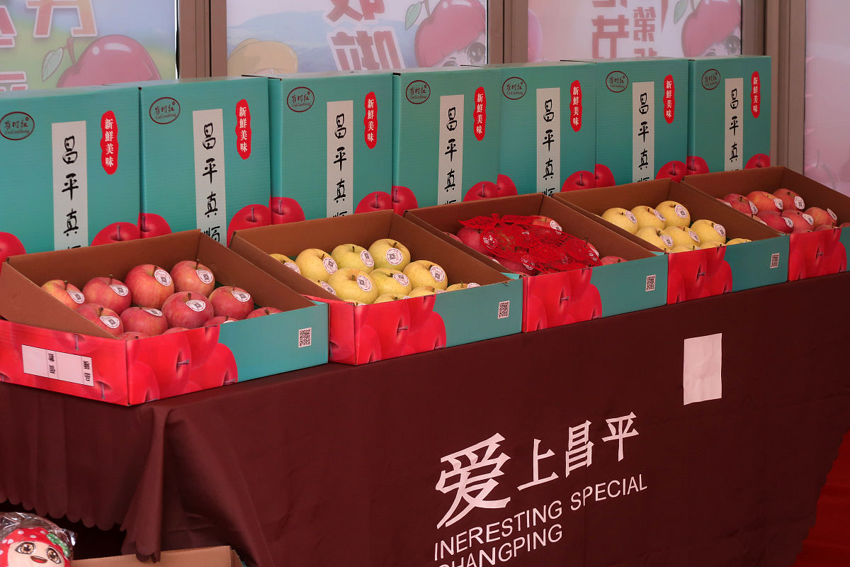 用哲学的专业术语解释：张载的太虚即气（600字）