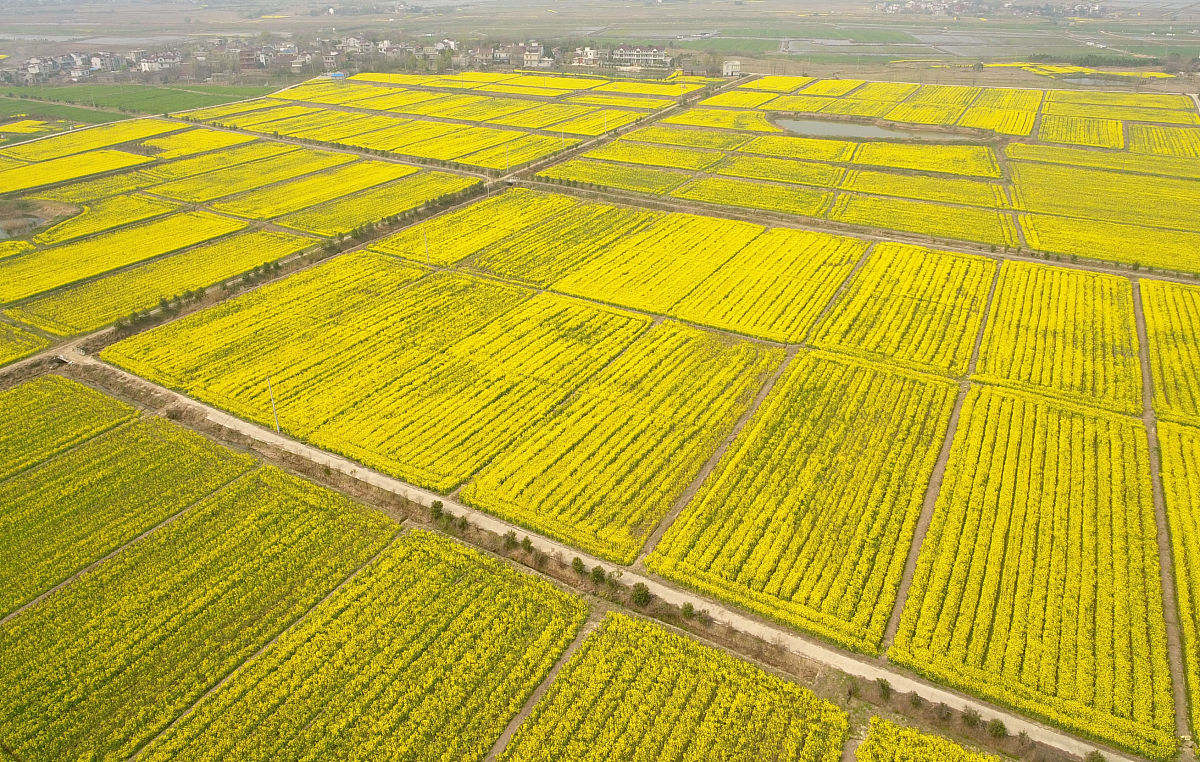 泸西县农业机械化技术学校办学条件介绍