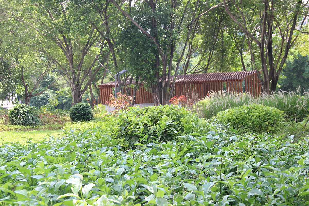 2020上海市园林学校招生简章