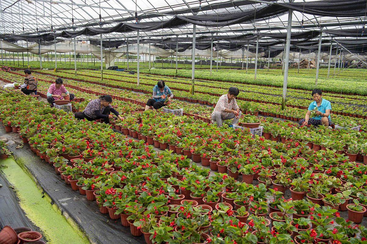 广西玉林农业学校果蔬花卉生产技术专业就业前景分析