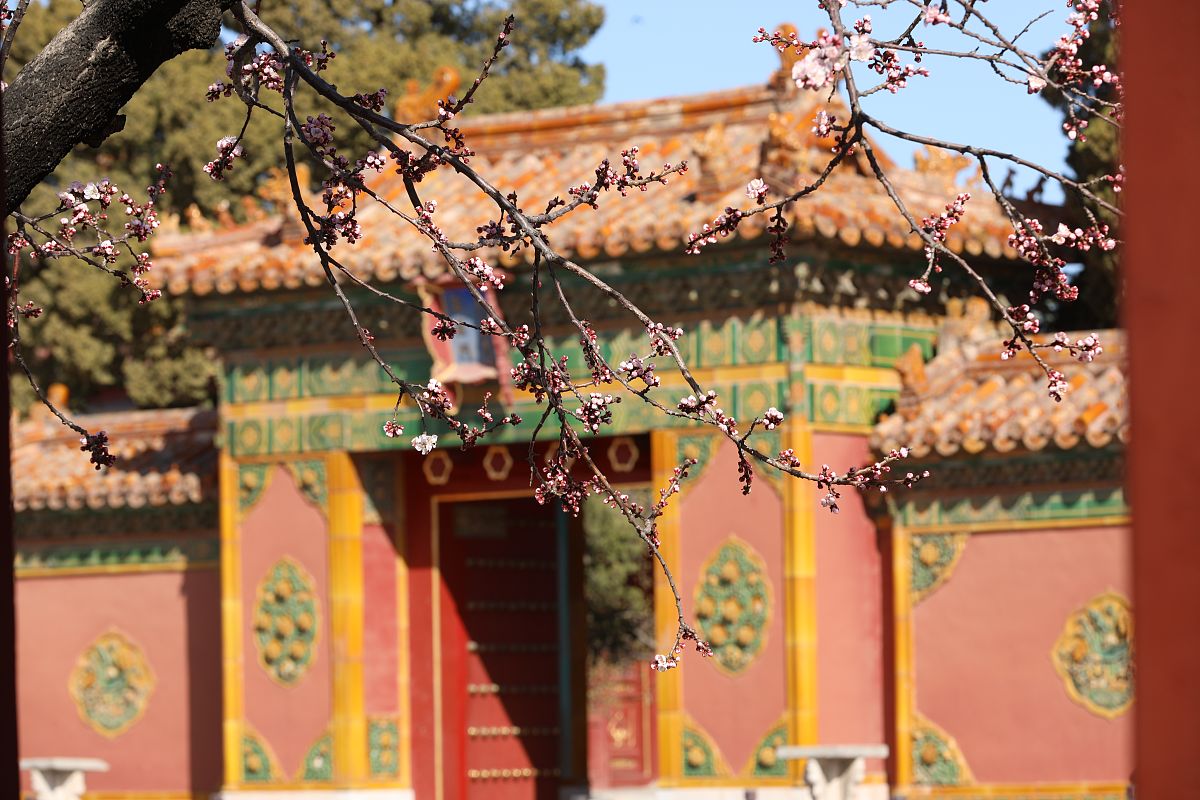 2022年四川女生中专学什么专业好？热门专业推荐！