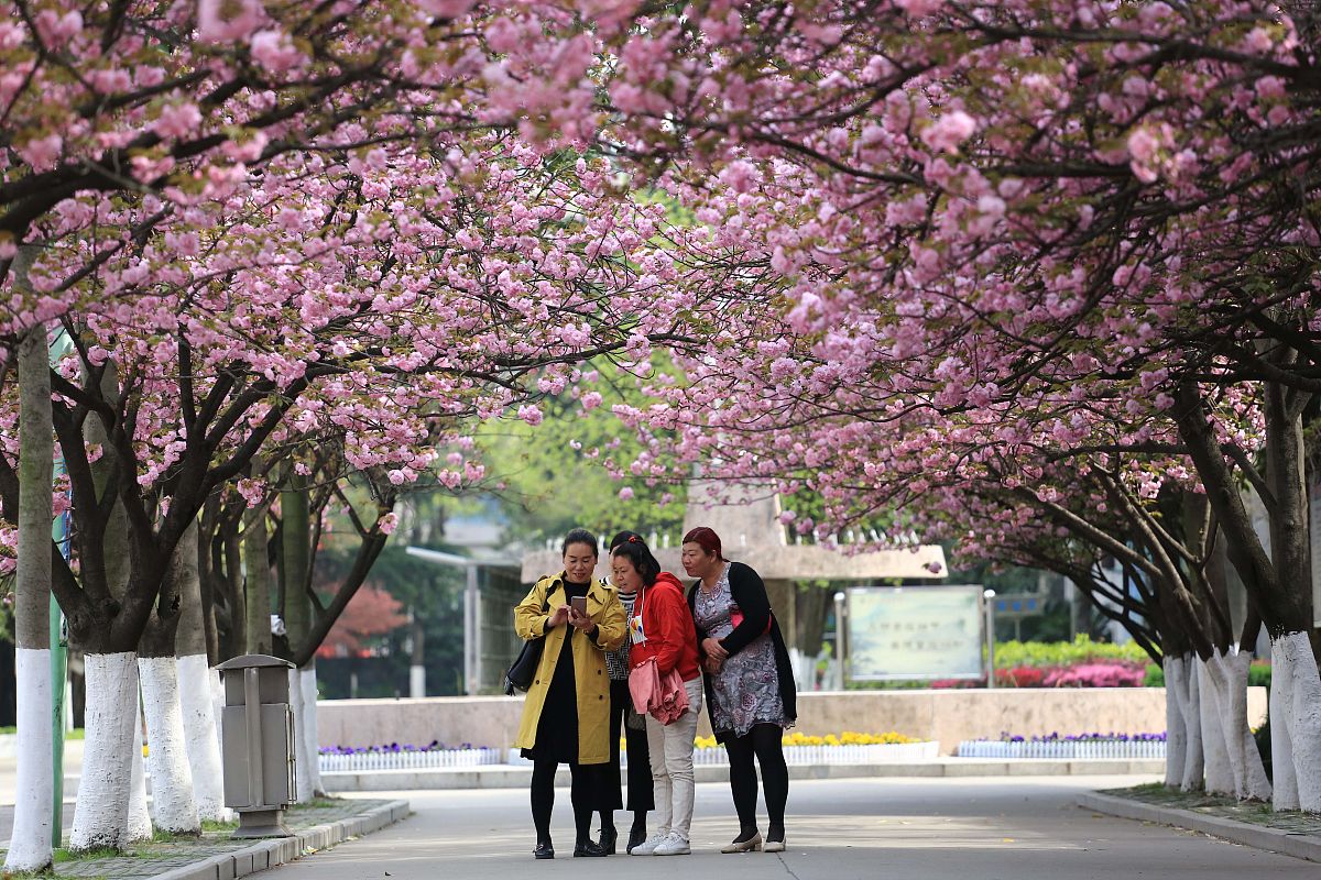 2019年泸州江南职业中学中职中专招生简章 - 优质教育，助力未来