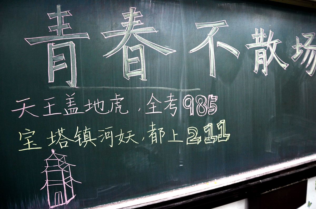 青春的回响：大学岁月感悟录 - 引言