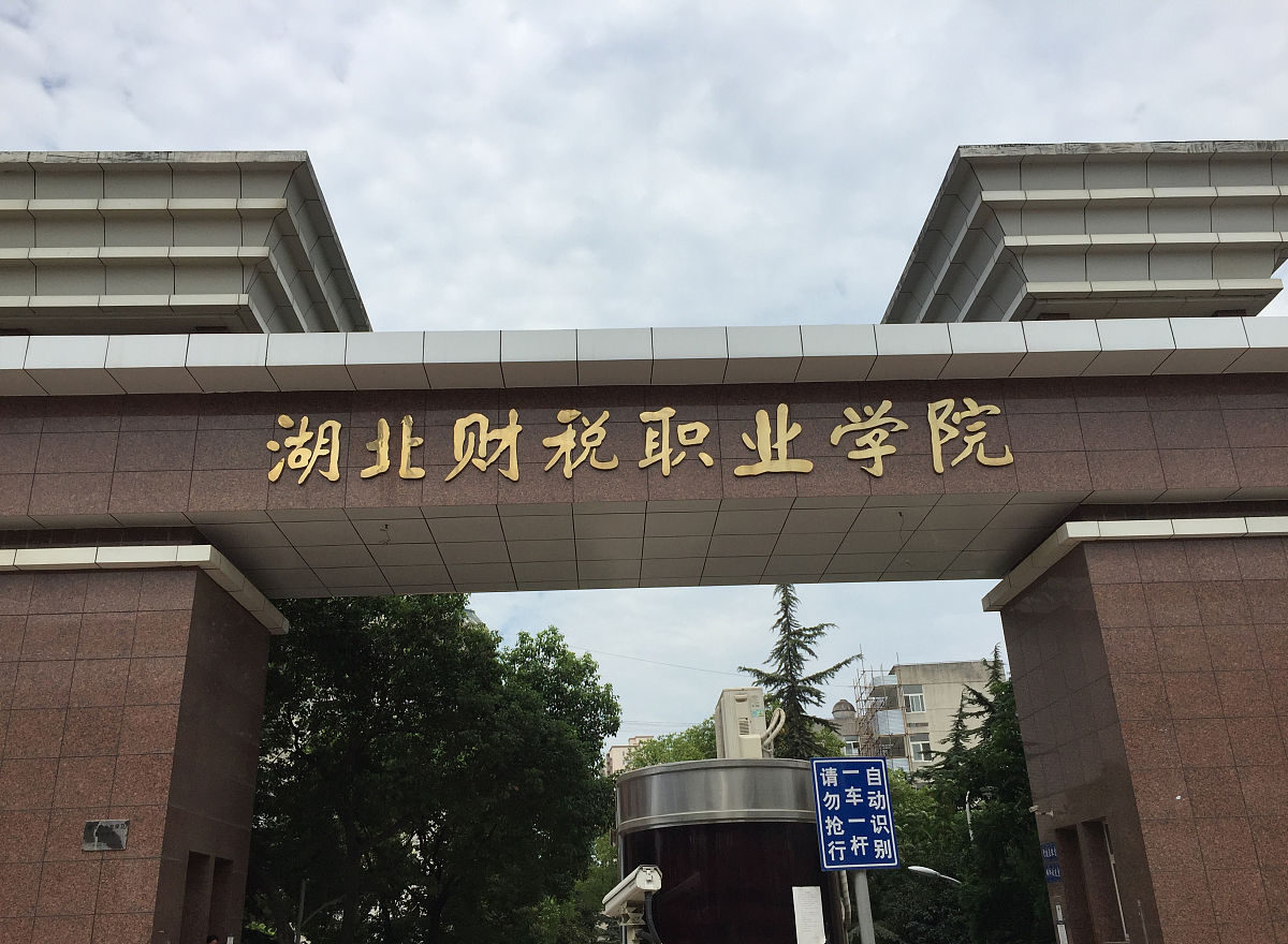 武汉城市职业学院哪些专业比较热门