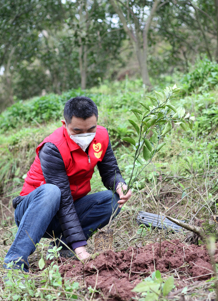 乡镇林长制工作汇报
