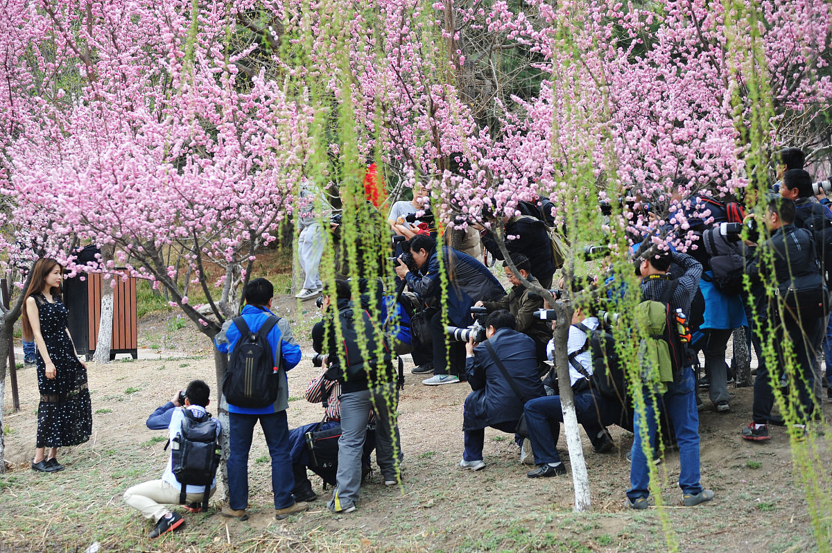 2015年3月29日,北京奥林匹克森林公园,一个摄影论坛组织的外拍活动,这