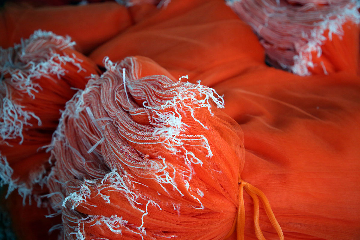 五莲我们爱你歌词鉴赏：歌颂家乡的深情告白