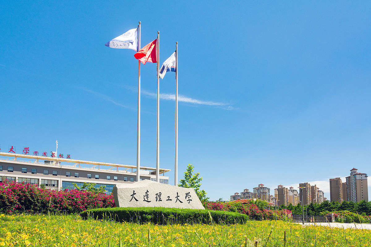 大连华信背景介绍