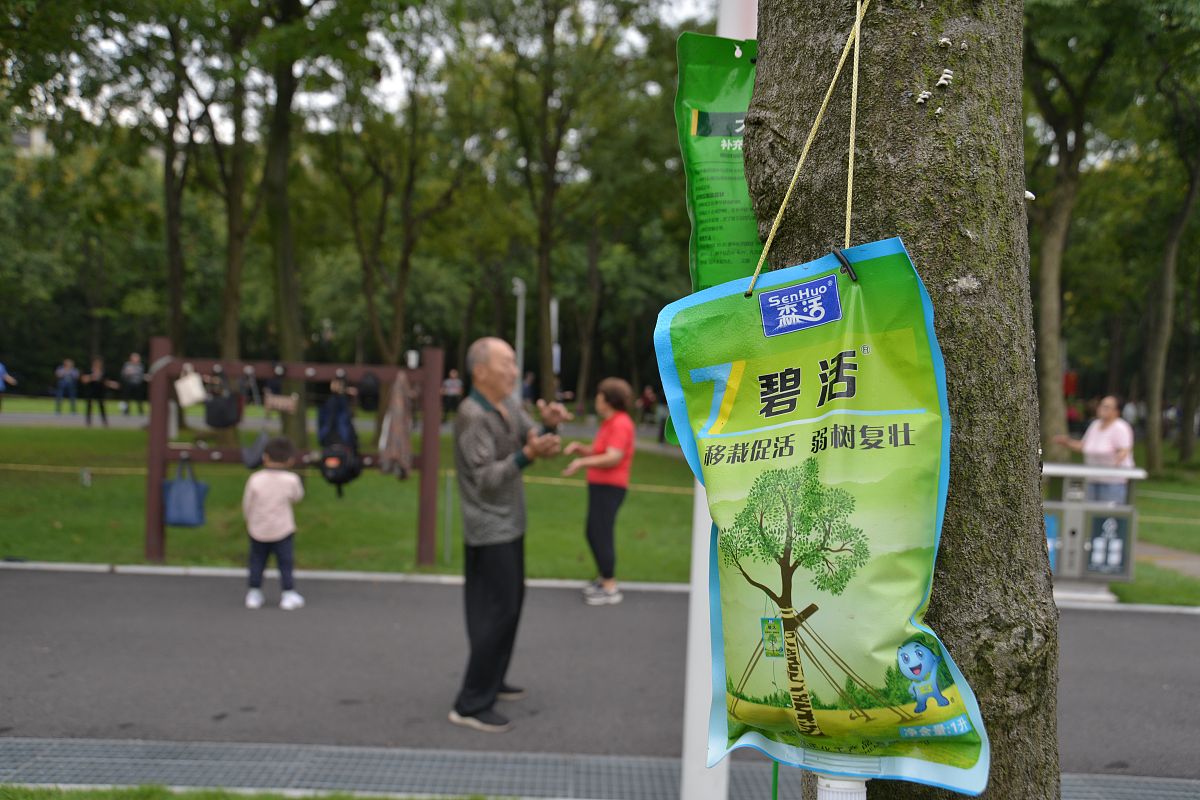 大学生低碳生活模式研究—以南阳师范学院为例 调查内容