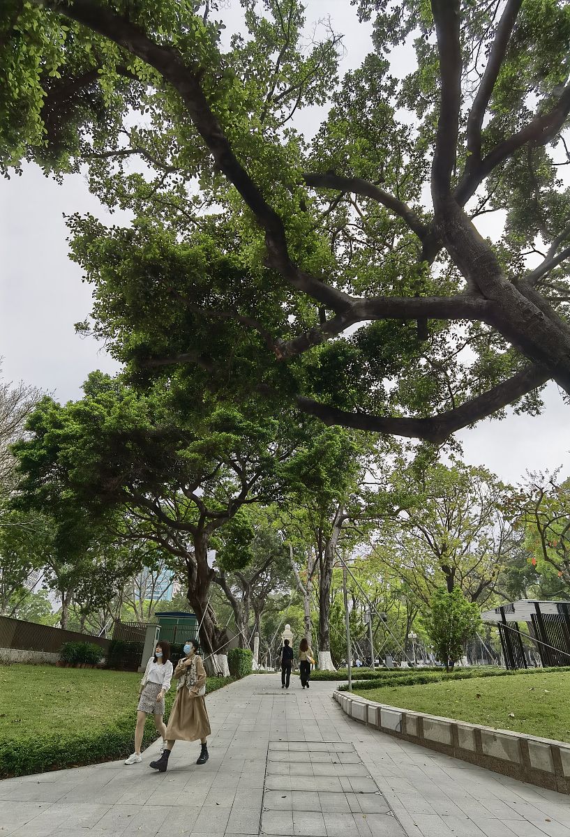 广州天河金领技工学校2022年招生简章 - 培养高素质技工人才