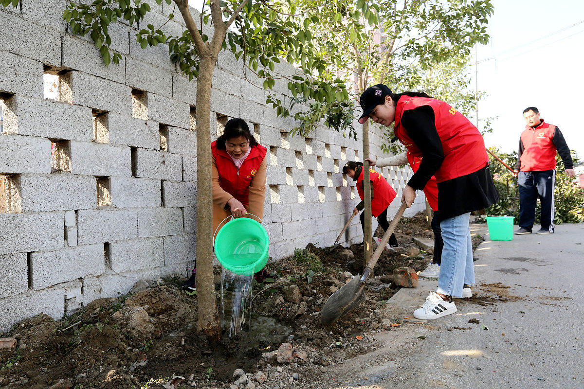 生态环境保护社会实践报告 - 提高环保意识，共建美好家园