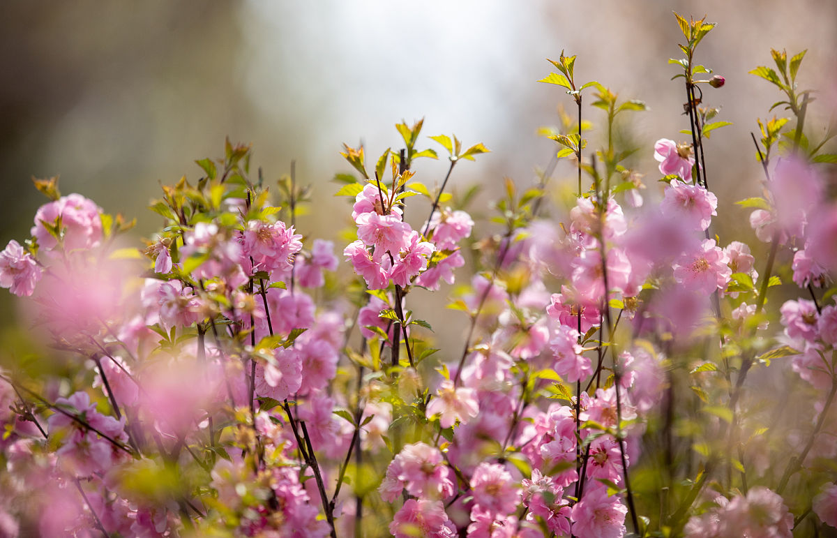 定西陇中护理学校2021年招生分数线是多少？