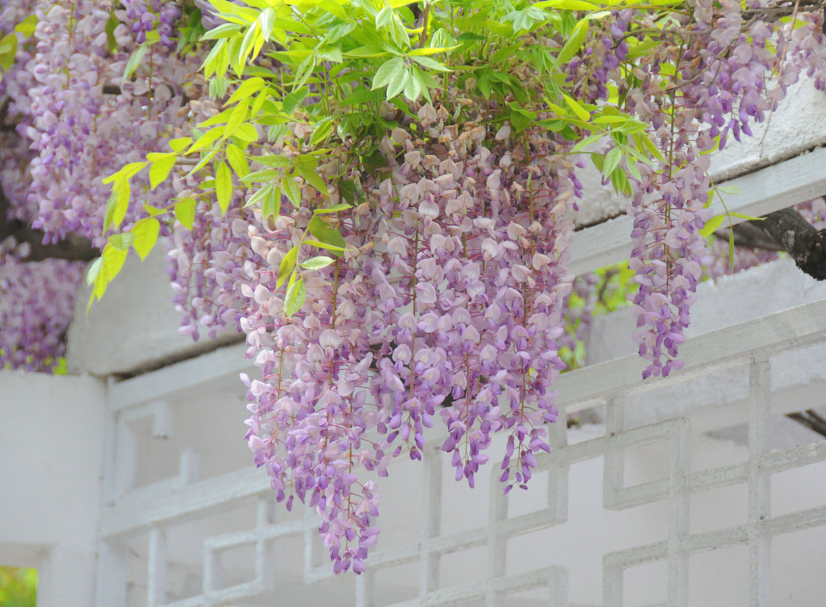 成都市中山职业技术学校工程造价专业