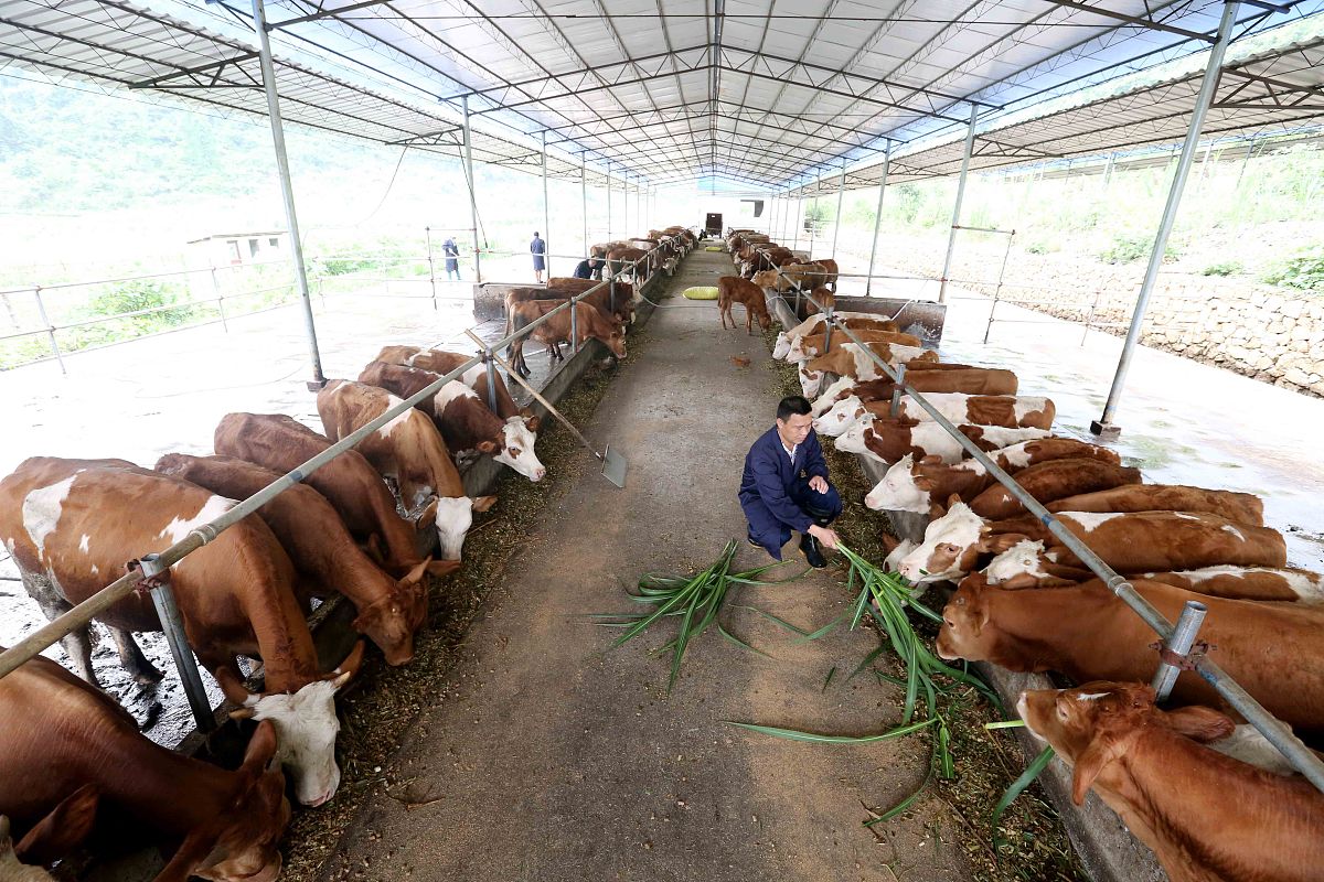 广西生态工程职业技术学院食品生物技术专业专业好不好发展前景怎样