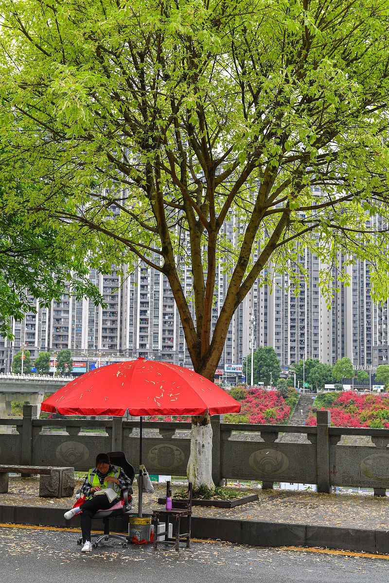 重庆彭水幼师职业教育中心2022年招生简章 - 报考指南