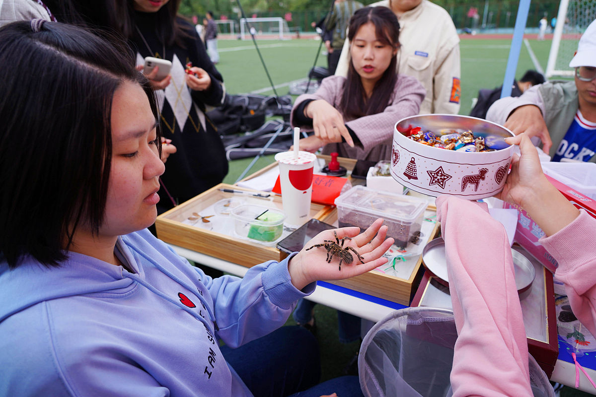 梦幻西游游戏攻略女儿