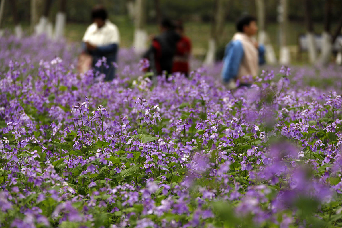 秦皇岛市燕海科技职业学校2022年招生简章