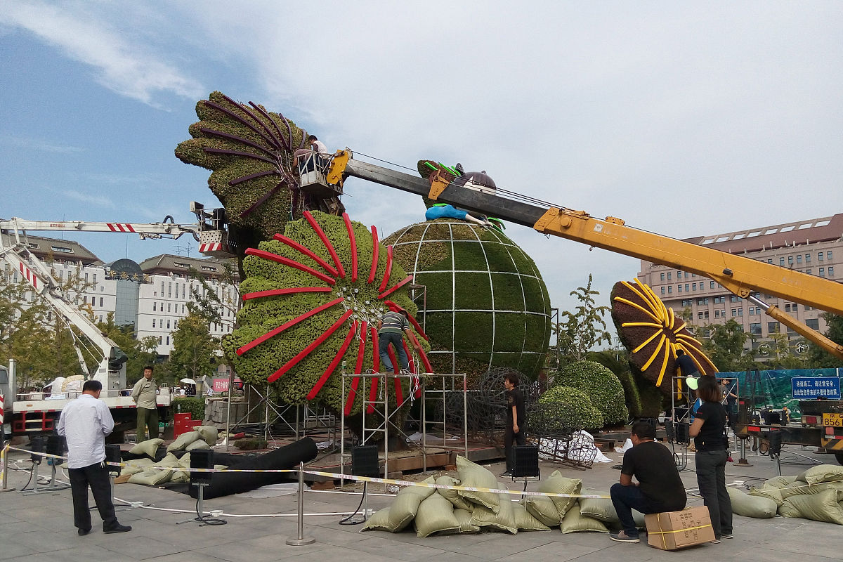 寻梦环游记主题