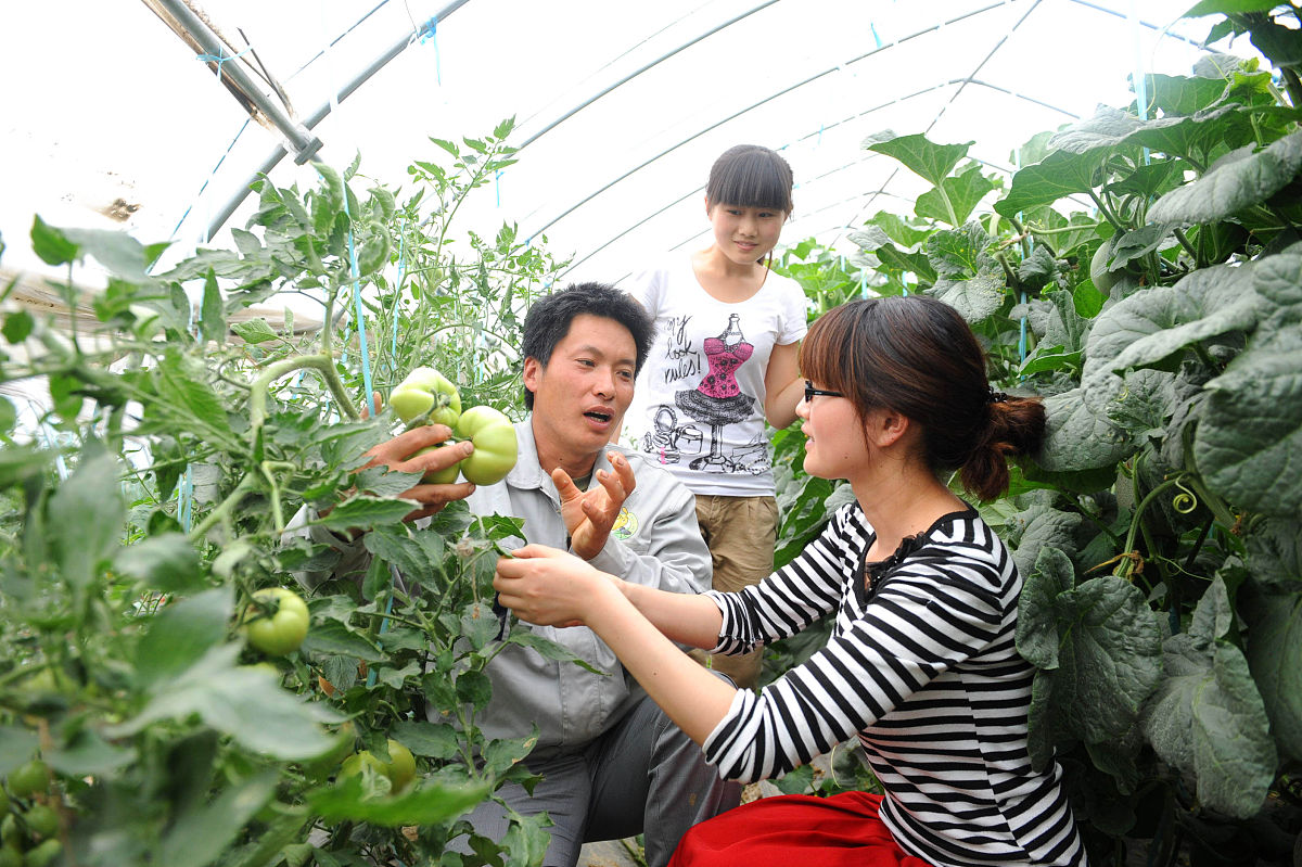 曲靖农业学校2019年五年制大学招生专业