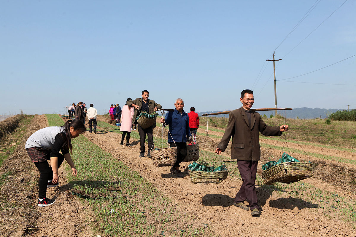 泸西县农业机械化技术学校：培养农业机械化人才，助力乡村振兴