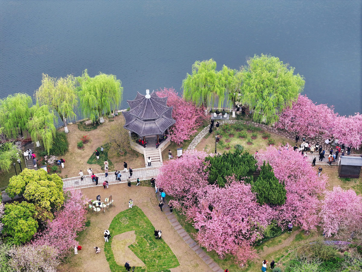 上春山见南京# 桃花岛位于风景秀丽的竹镇乡村旅游度假区内,是兹换