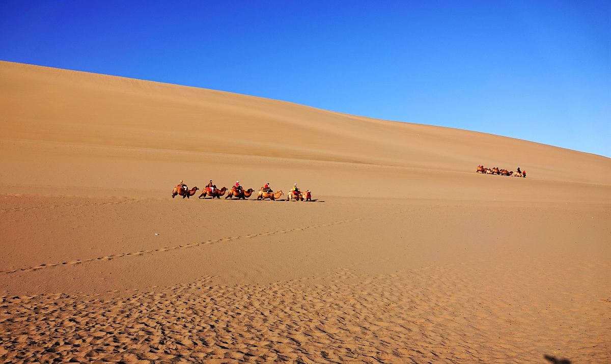 甘肃新科工业学校2021年招生对象 - 培养工业技术人才的摇篮