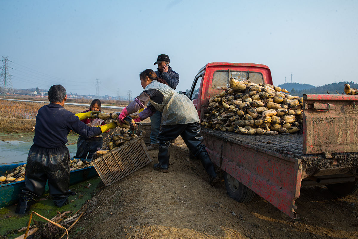 中国人的模仿策略：学习对手，超越自我