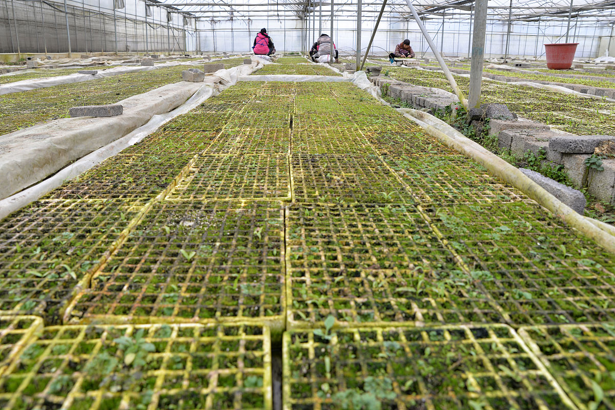 湖北生物科技职业学院医药营销专业怎么样