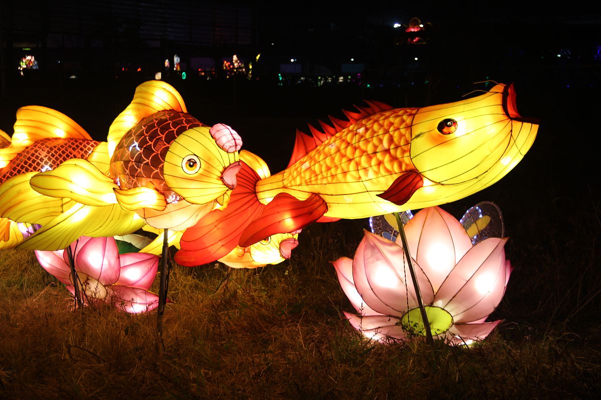 关于“鱼灯的形态与意义的讲解，探讨不同形态鱼灯的寓意和象征意义”，麻烦用1000字以内阐述下，大专幼儿专业，教学方面运用