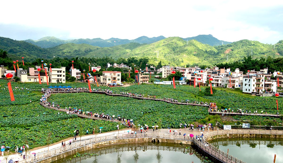 新型职业农民职称评定