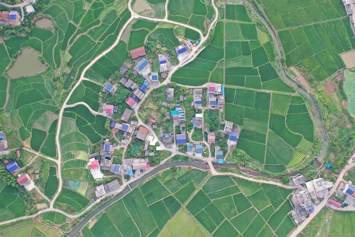 茶陵档案管理：查询、浏览、复制，茶陵县档案馆服务指南