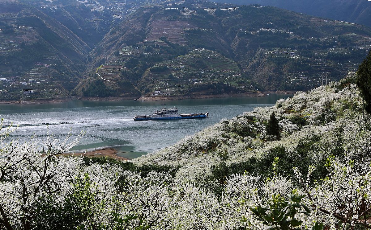 重庆中考200分能读的职高哪家好