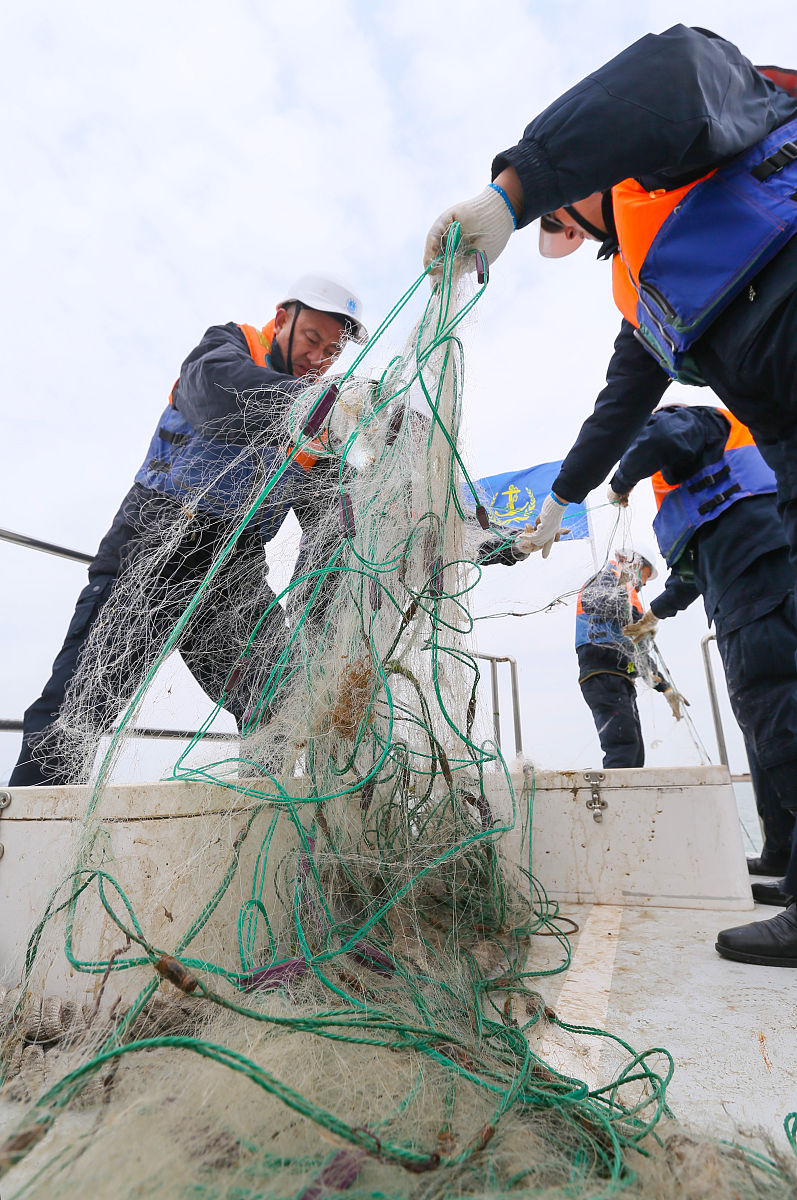 海事局调查配合指南：文件备份与信息记录