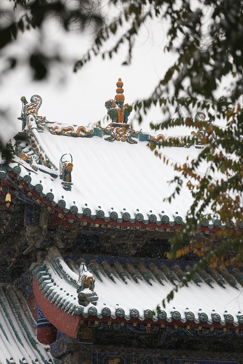 2016年11月22日,河南省郑州市,迎来今冬第一场雪.早上起来,一打开窗户